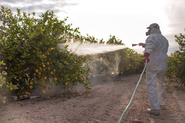 Wildlife Control Services in Nokomis, IL